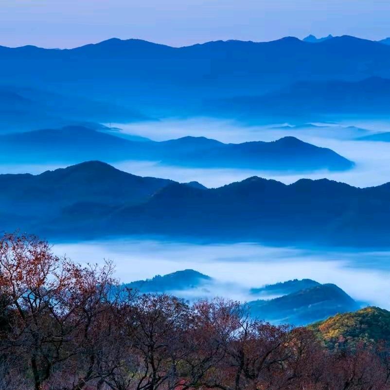 飞雪连天