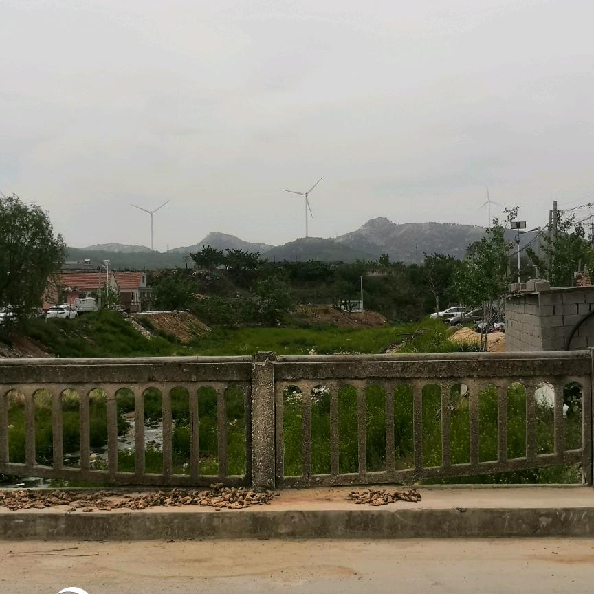 高密市骏一物流运输有限公司