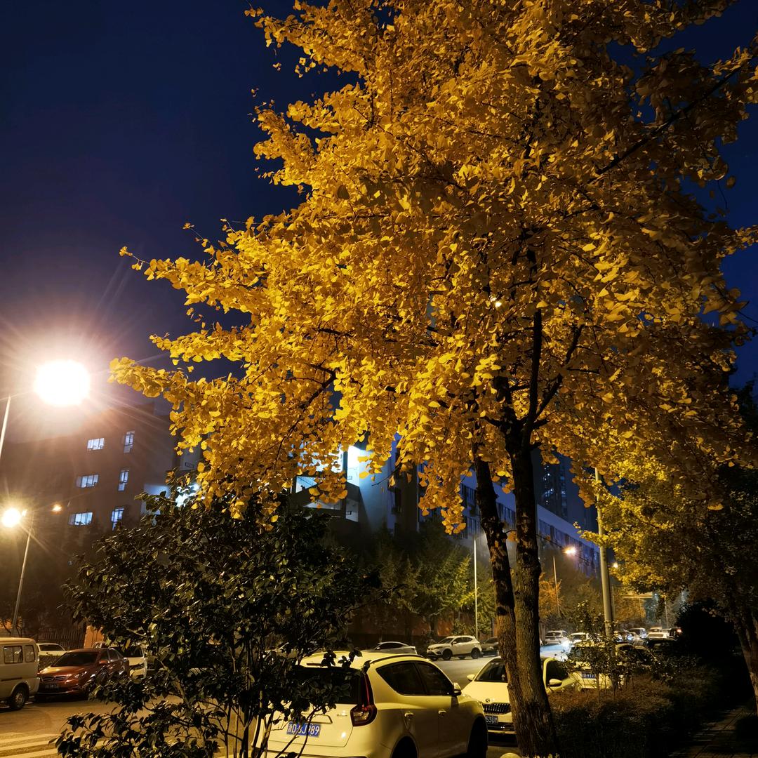 白开水.