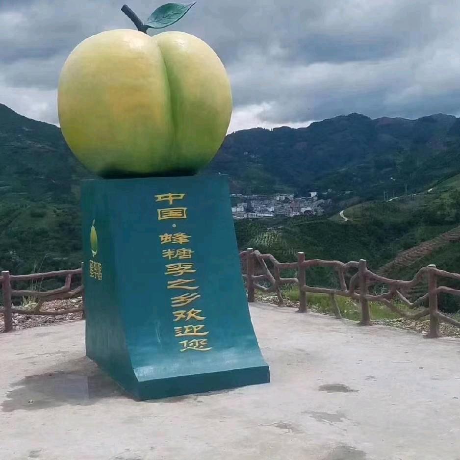 镇宁六马蜂糖李之乡1587015868