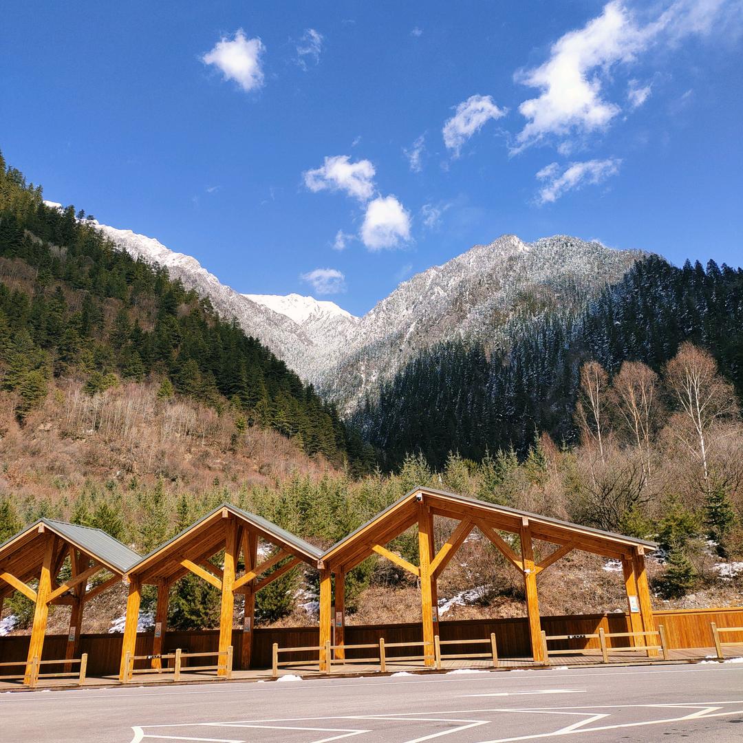 阳城丰泽四楼雅鹿