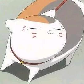 每天都好想睡觉～～