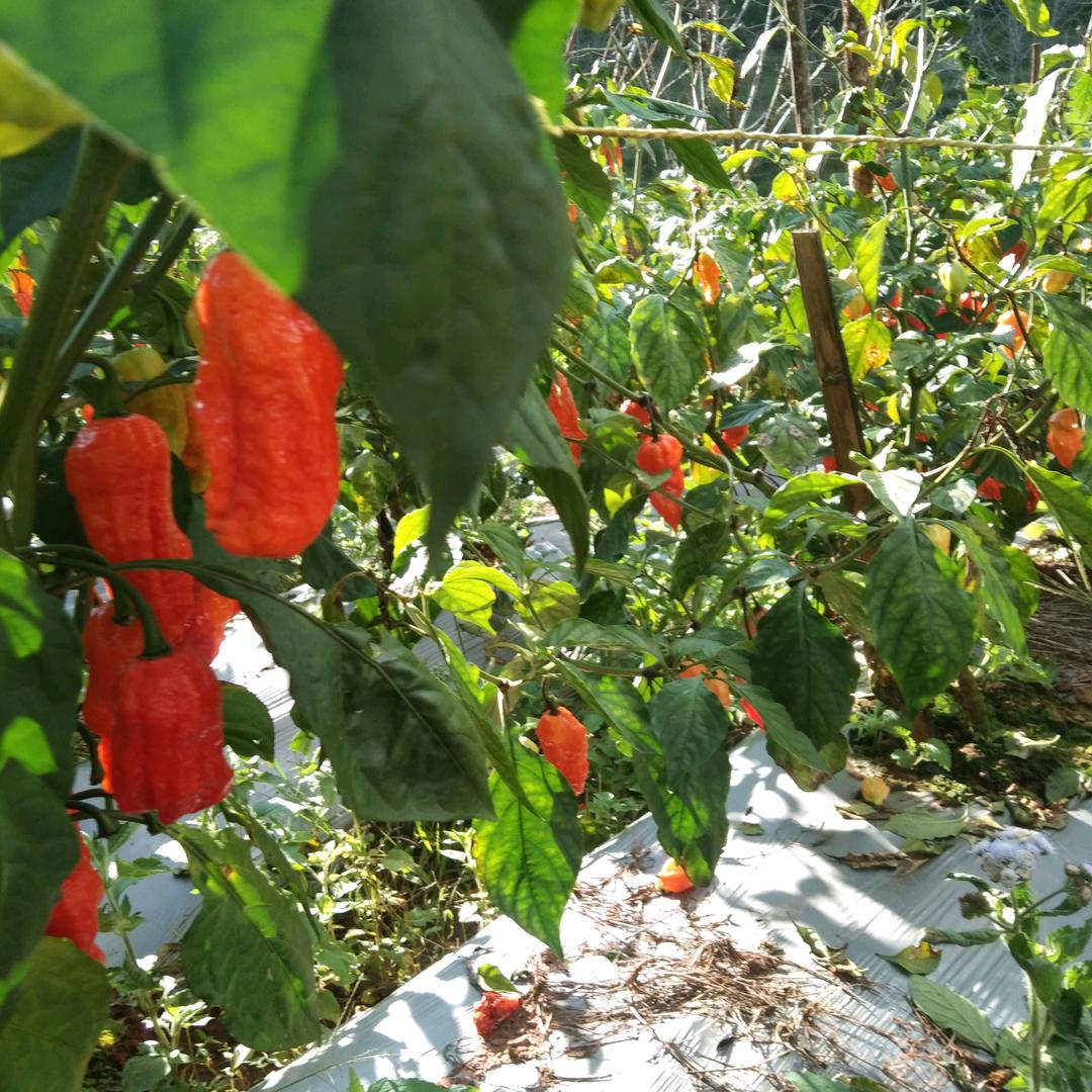 开心快乐每一天