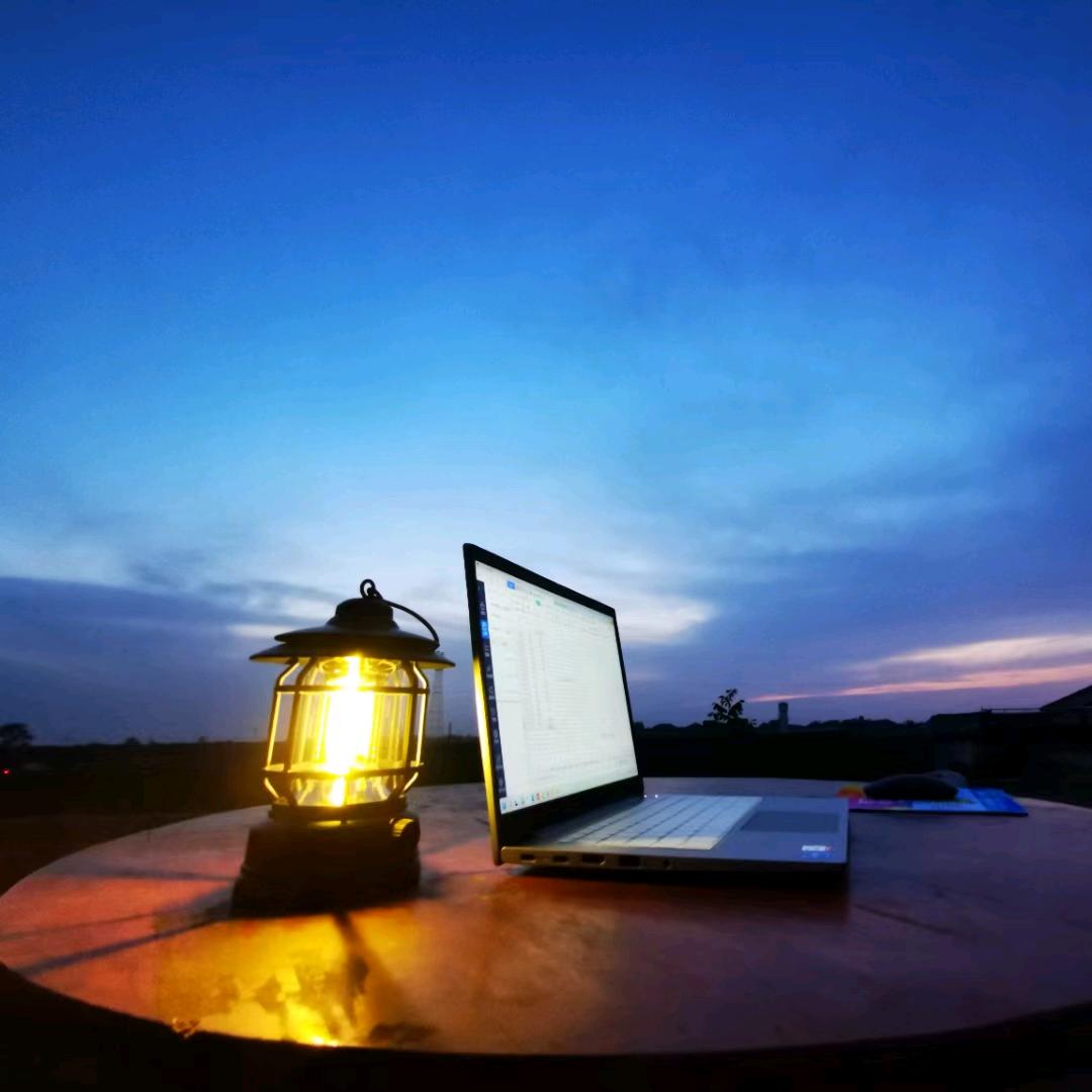 林黛玉倒拔鲁智深