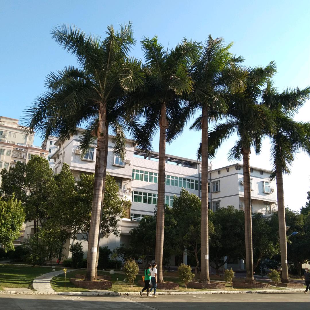 🌺🎄🌴小芳🌾🌺🌹