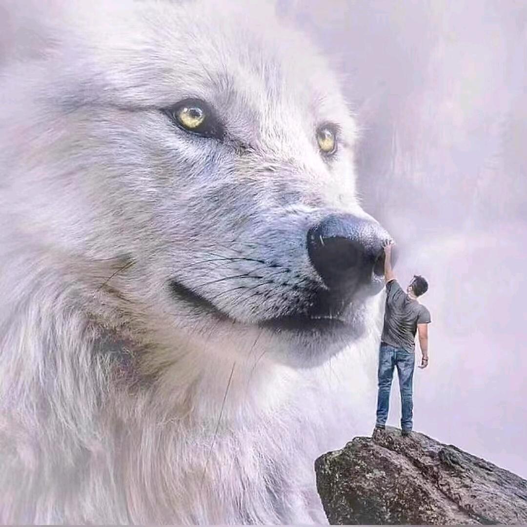 牧🐑人