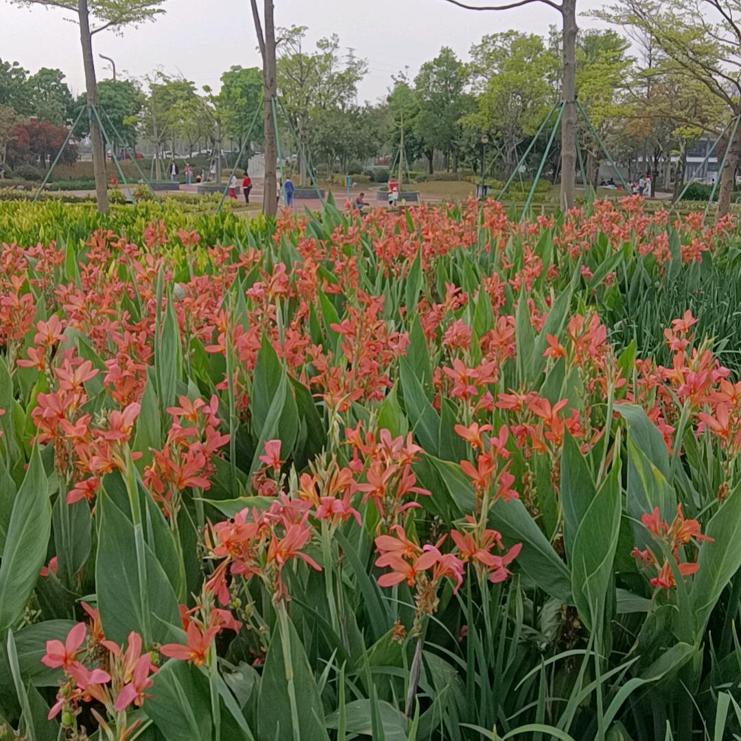 好读书