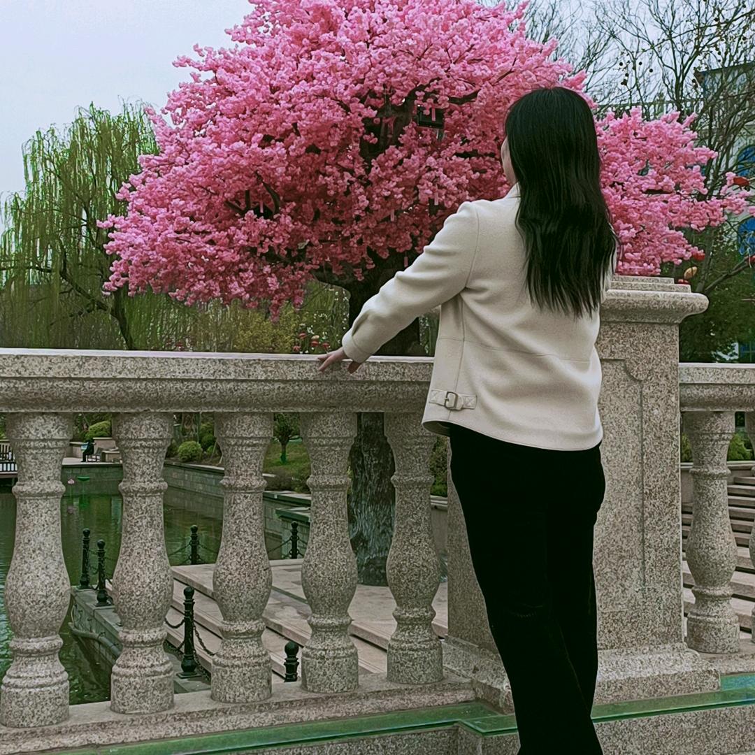 小顺（请勿连续点赞）