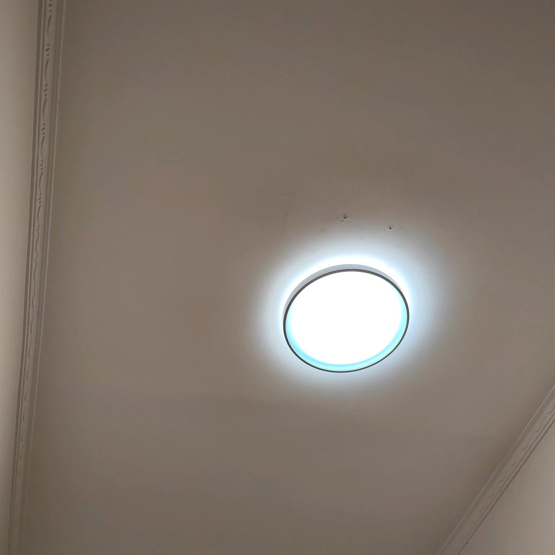 才388