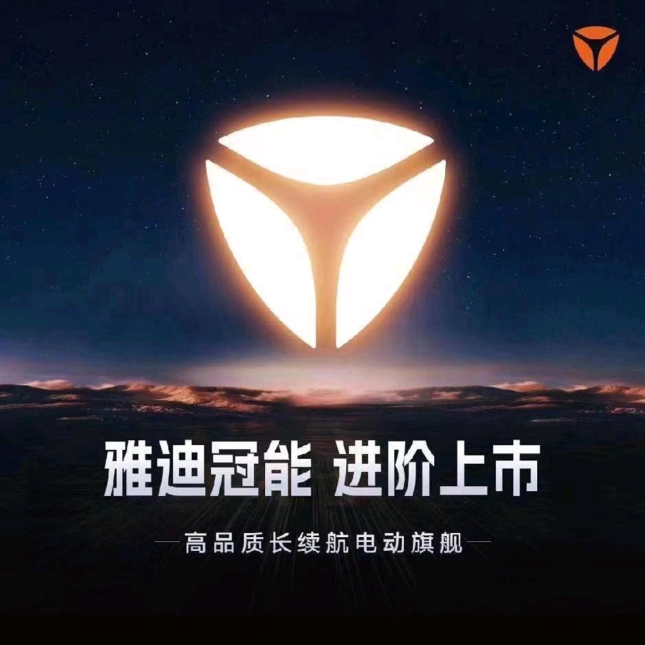 彬州市雅迪电动车