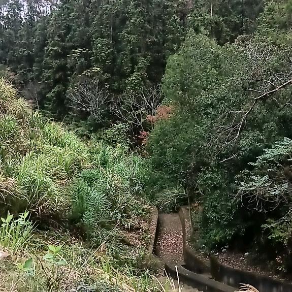 余姐姐