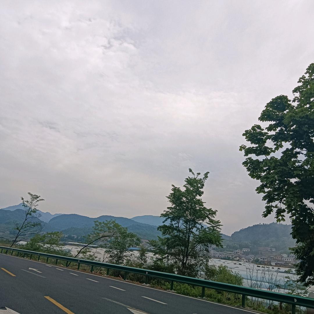 出去走走