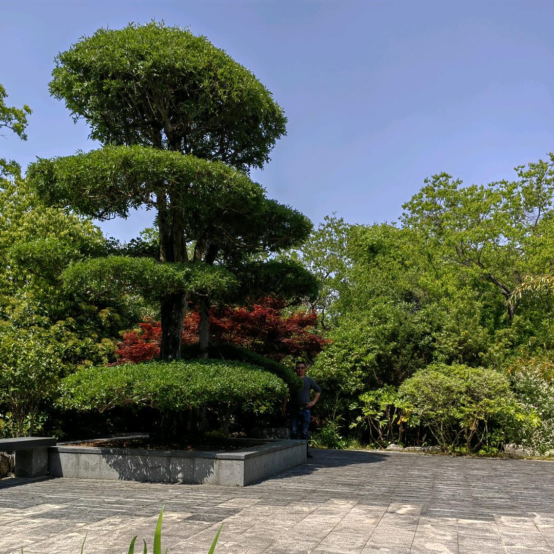 把美丽留给世界⊙ω⊙(>﹏<)🤪😎?