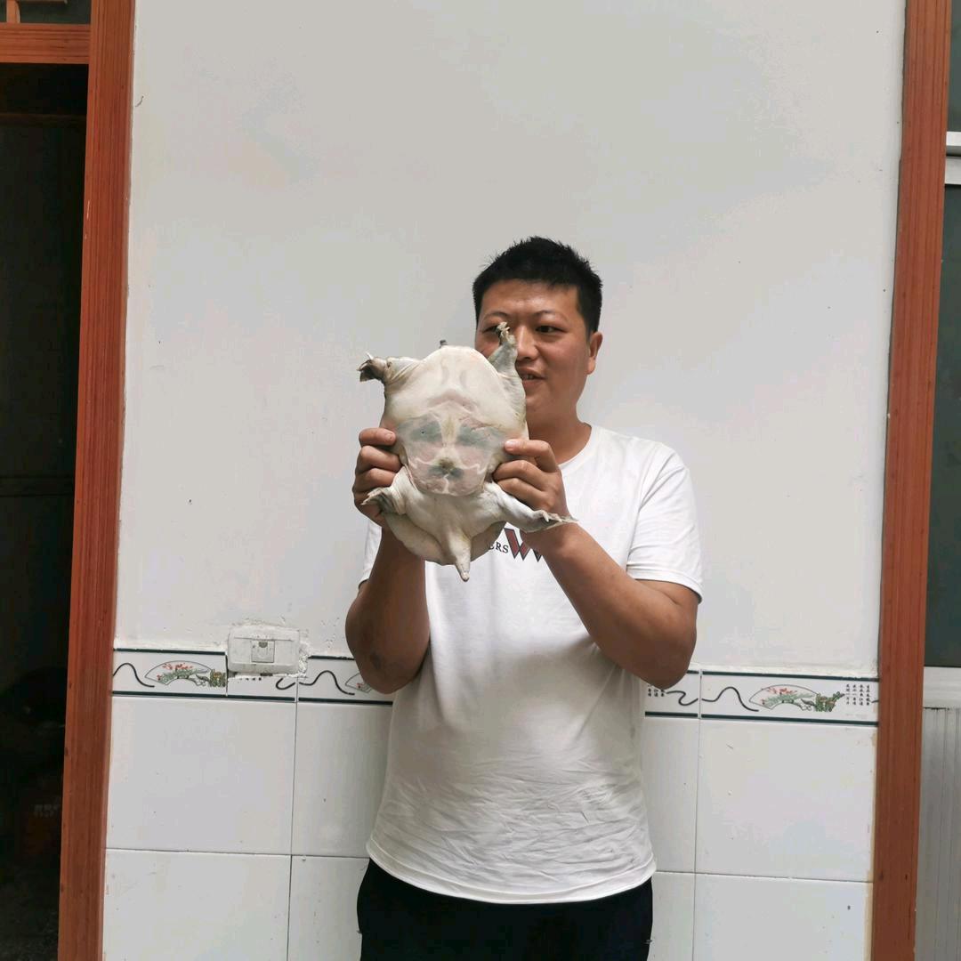 豫南老晏
