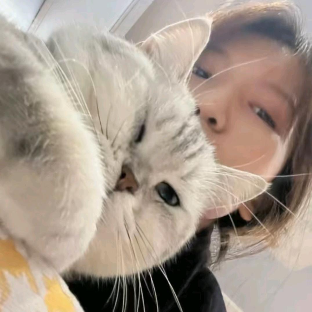 -鱼丸^