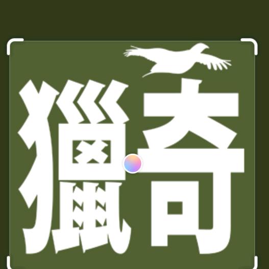 猎奇