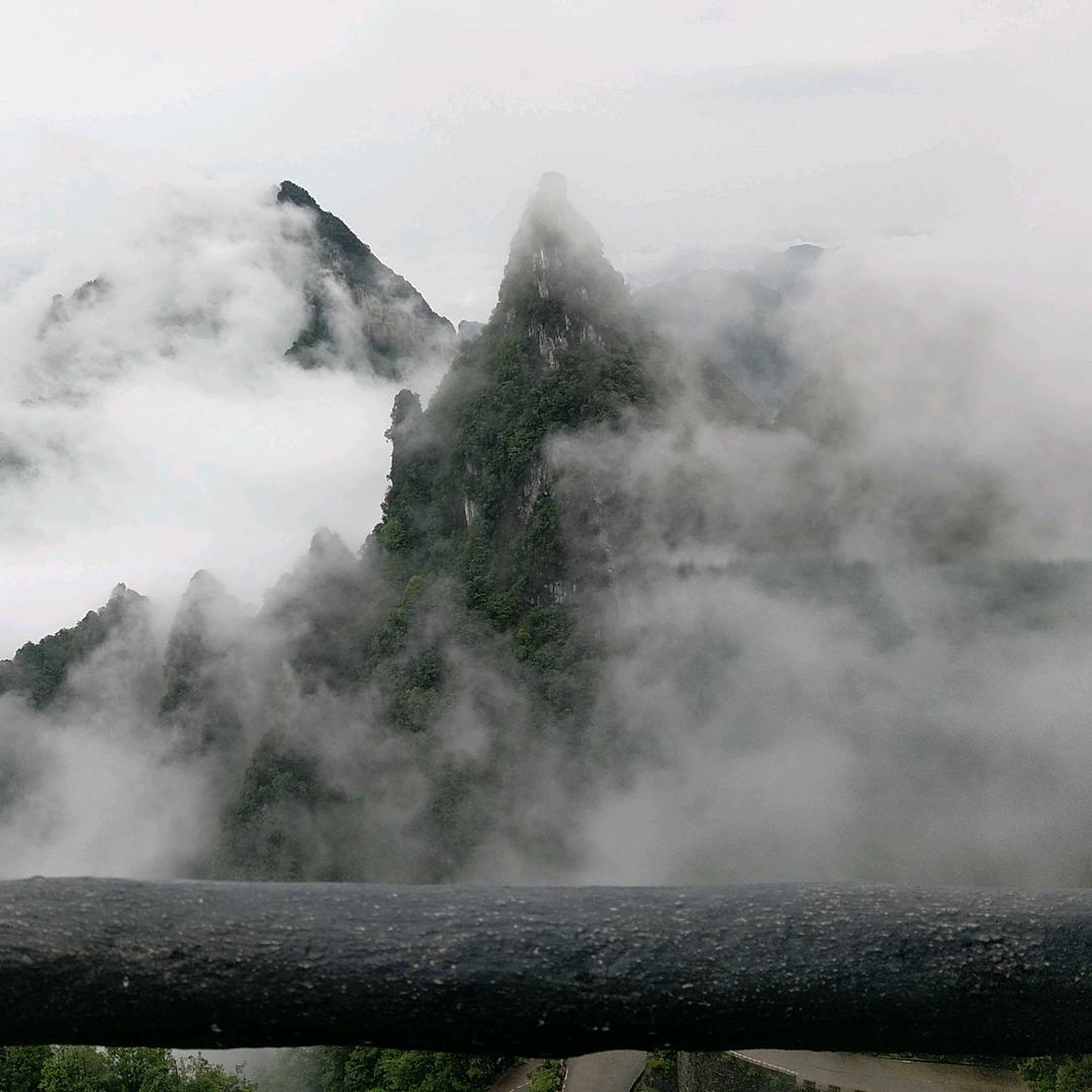 陈云会