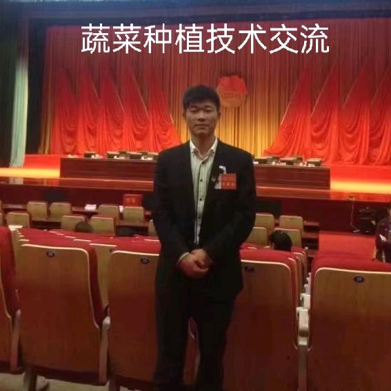 蔬菜栽培技术心系菜农