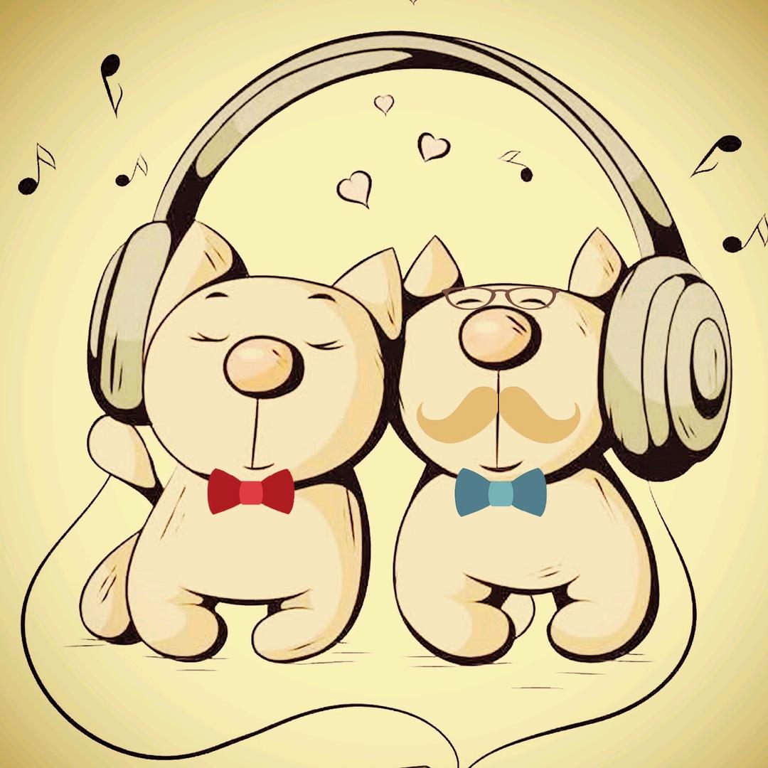 猫先生ฅ^._.^ฅ