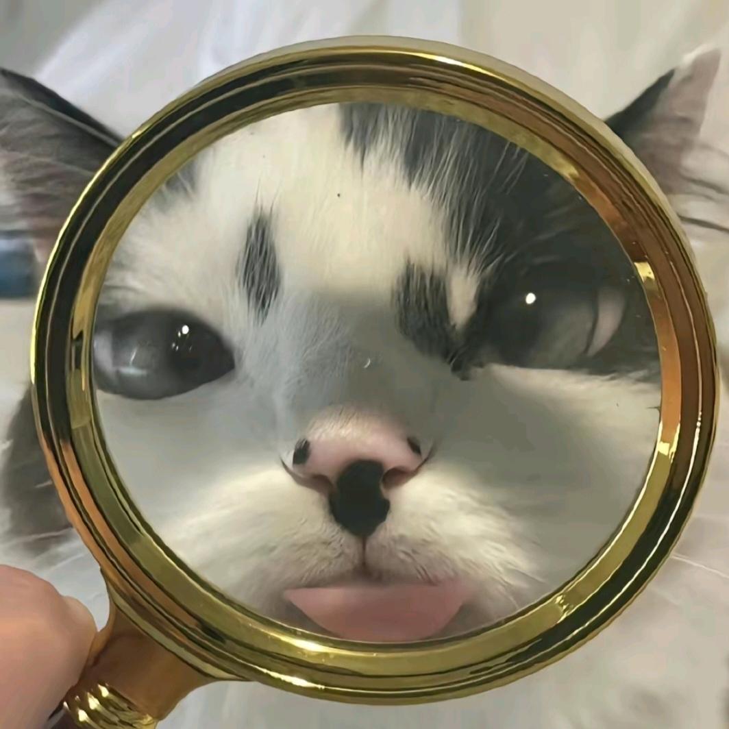 顺利