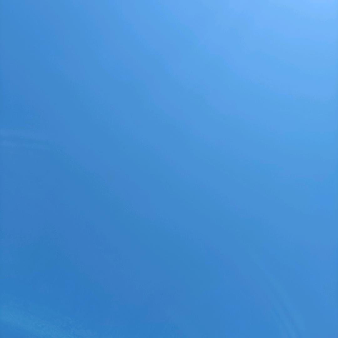 天意 悟道