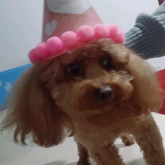 天使妹妹