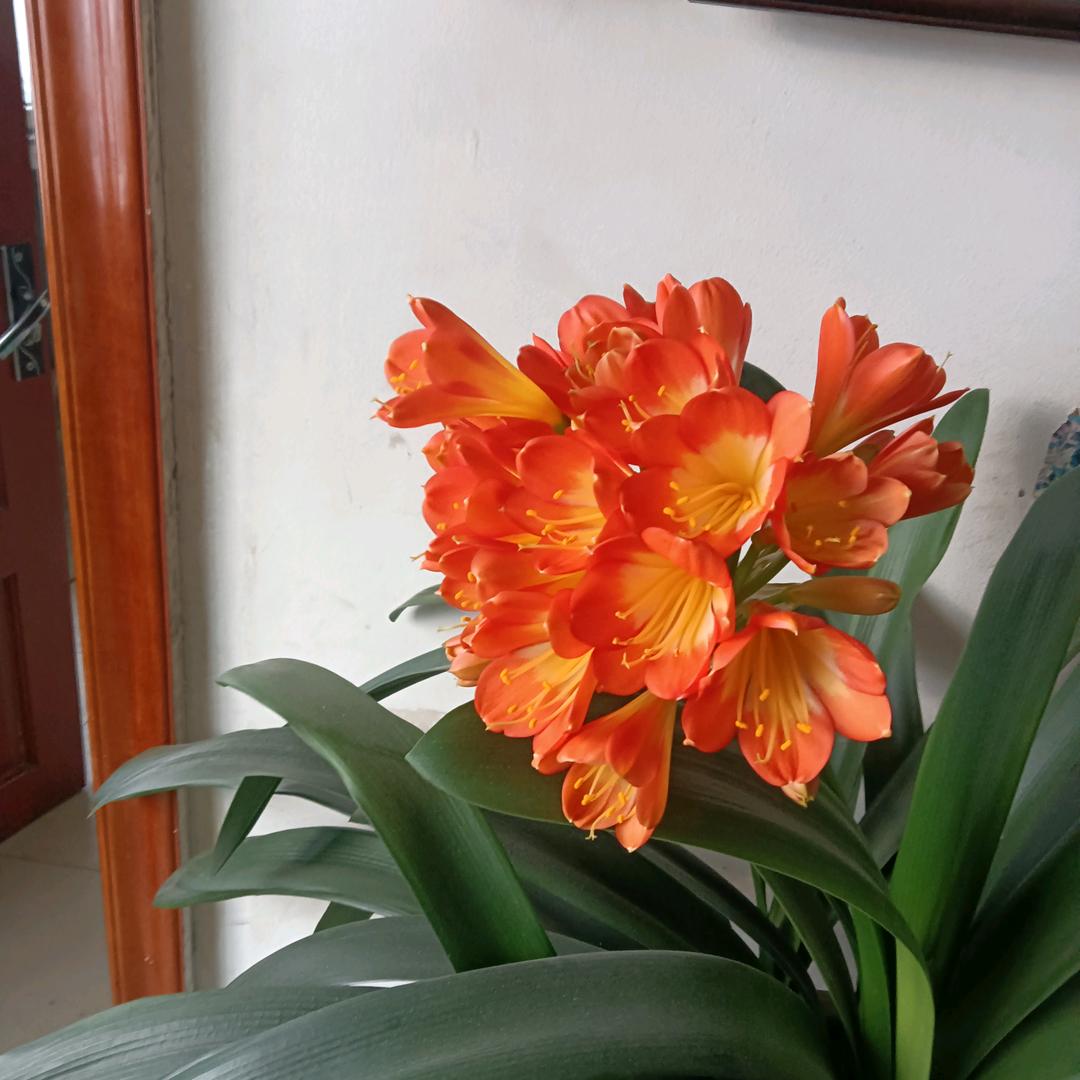 人民大众🐯⁵²⁹⁹