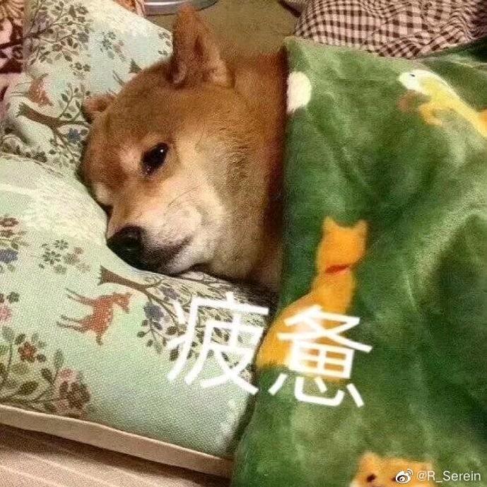 皮蛋瘦肉粥同学