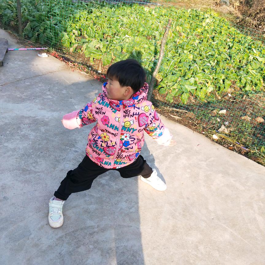 太阳花