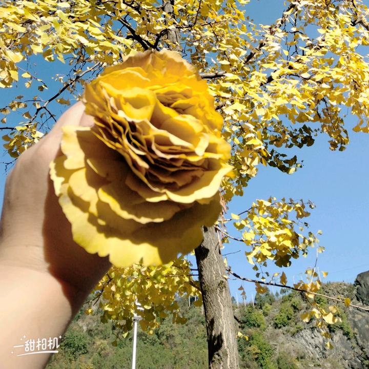 收废品的小姐姐。