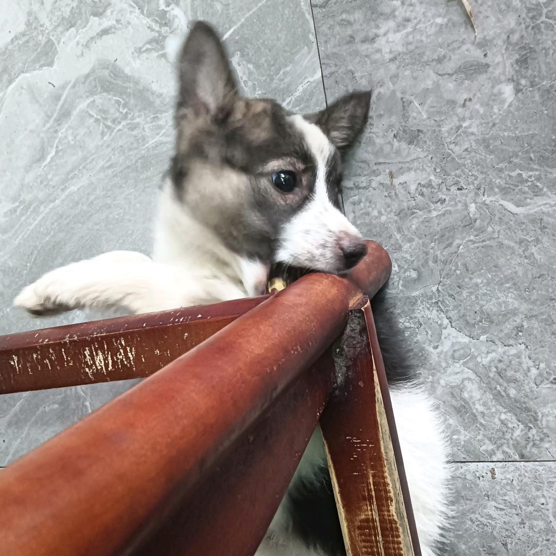 适合伙伴