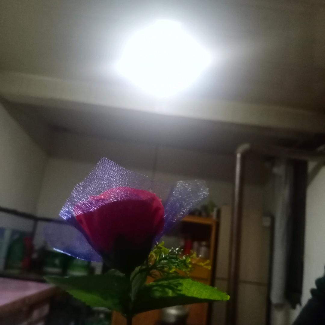 吉祥如意1519309O24山