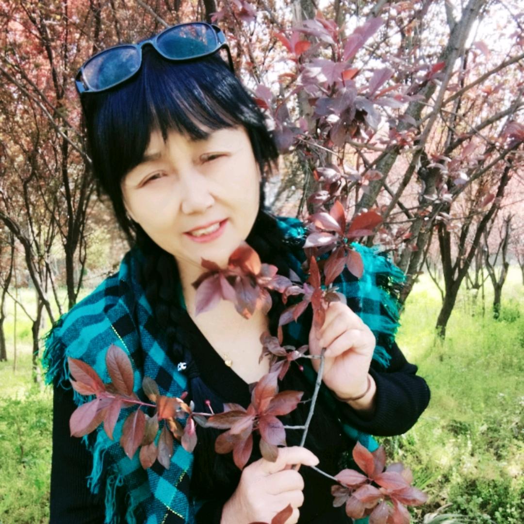 楚姐
