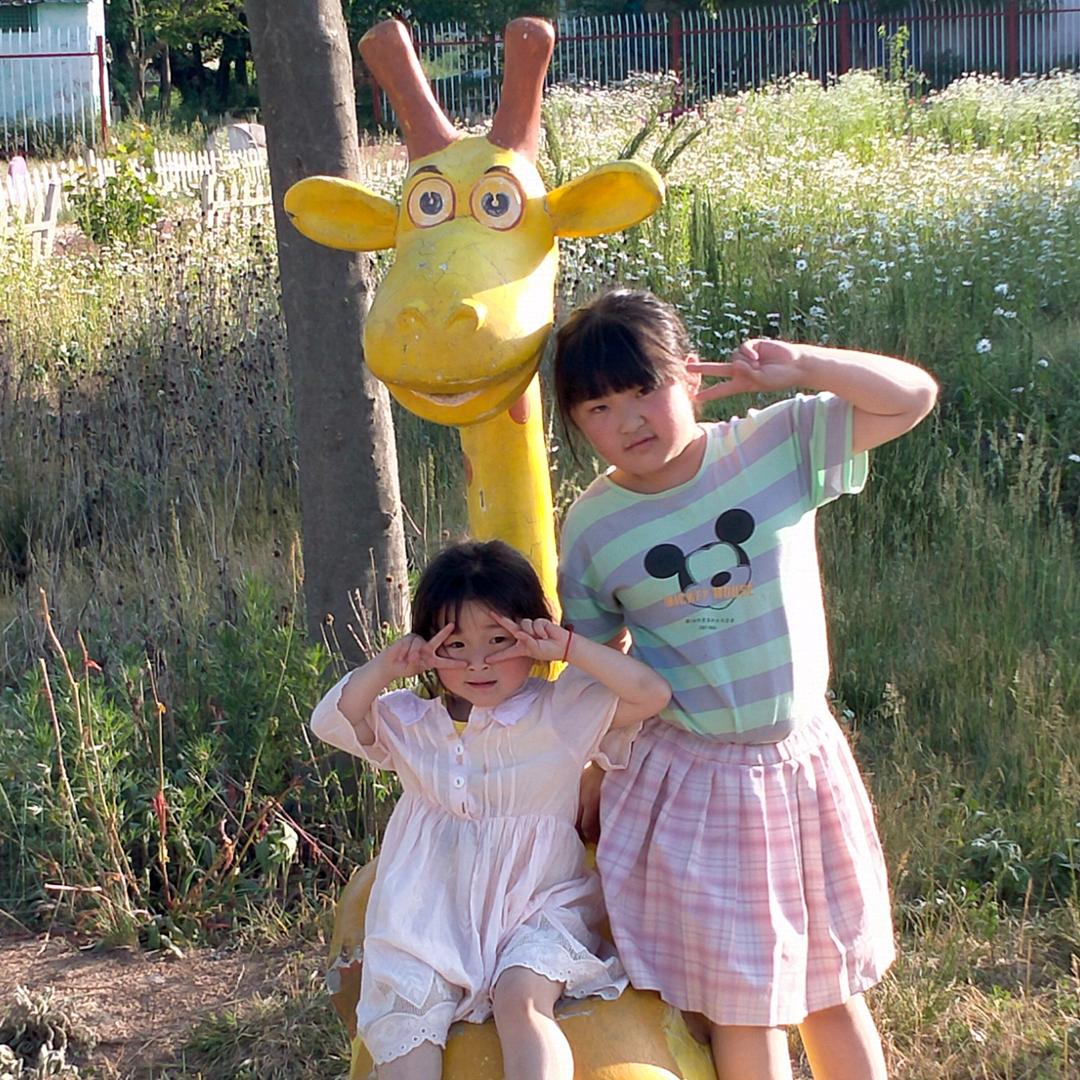 肖