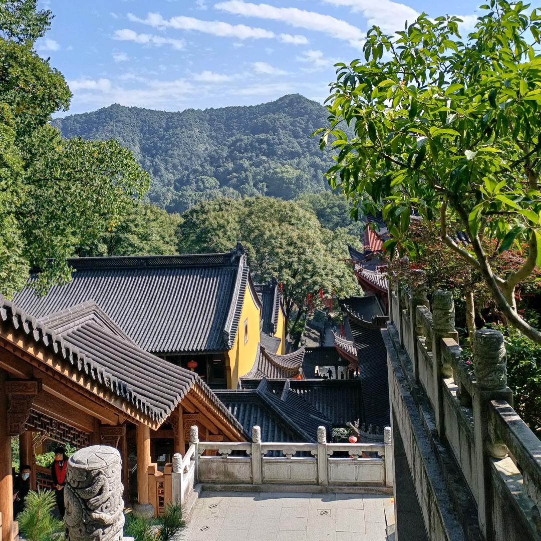 懒