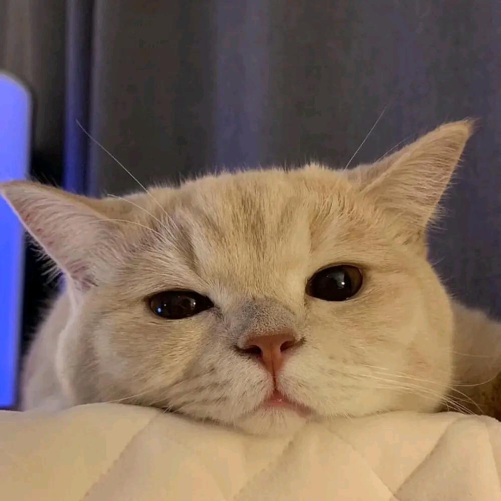 清风明月尽思愁