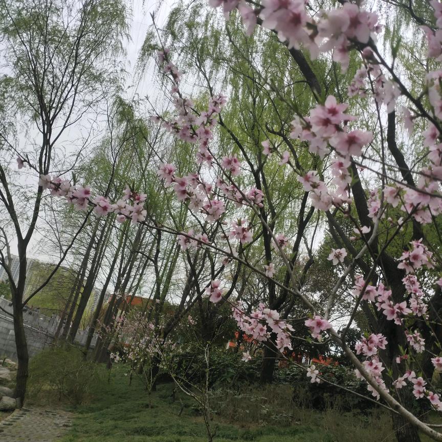 静儿