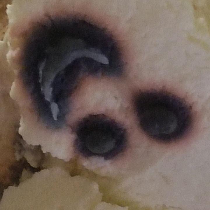 王者