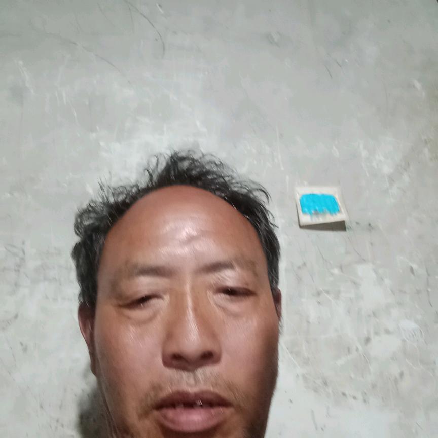 金传林