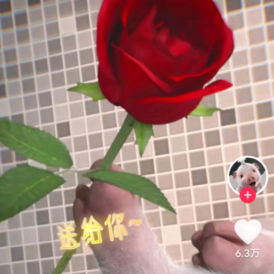 几年。。