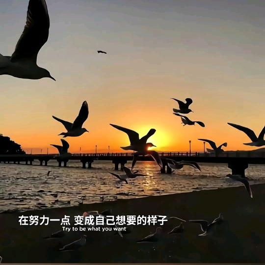 吃喝游玩吖
