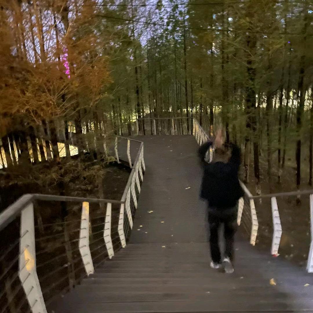 风花雪月