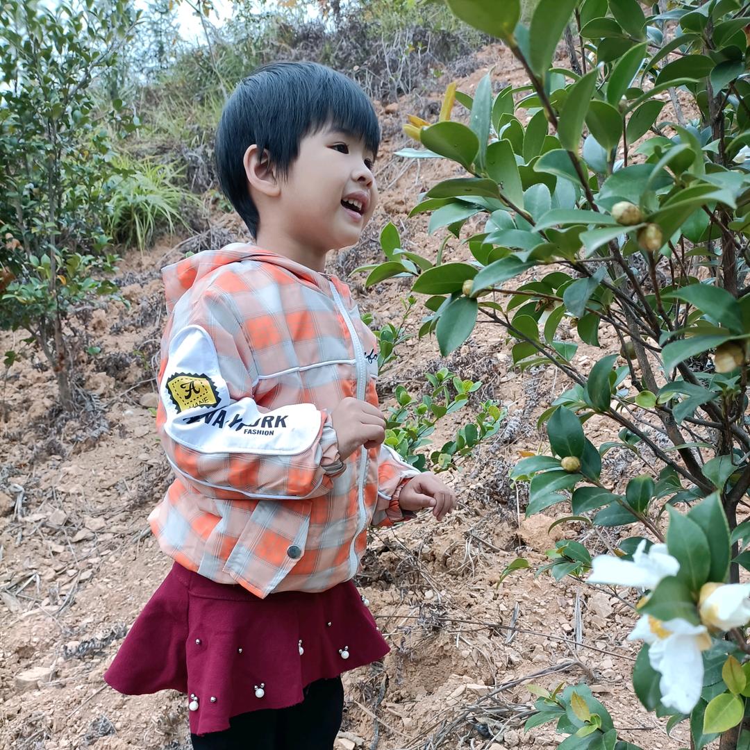 石龙莞富床垫沙发