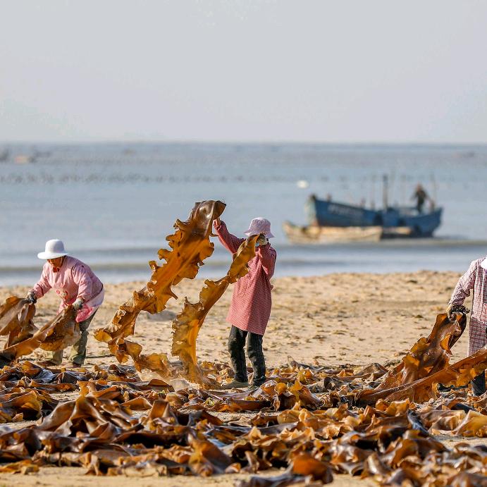 迅海水产旗舰店