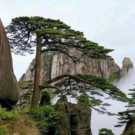 诗与远方
