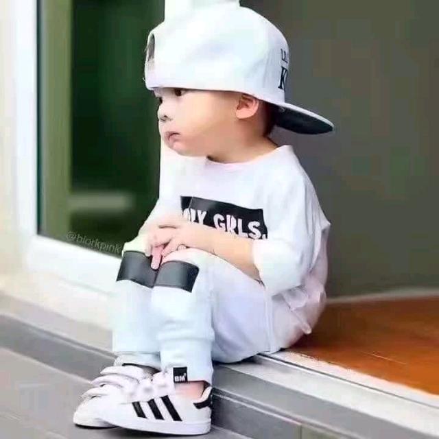龙舞蝶飞