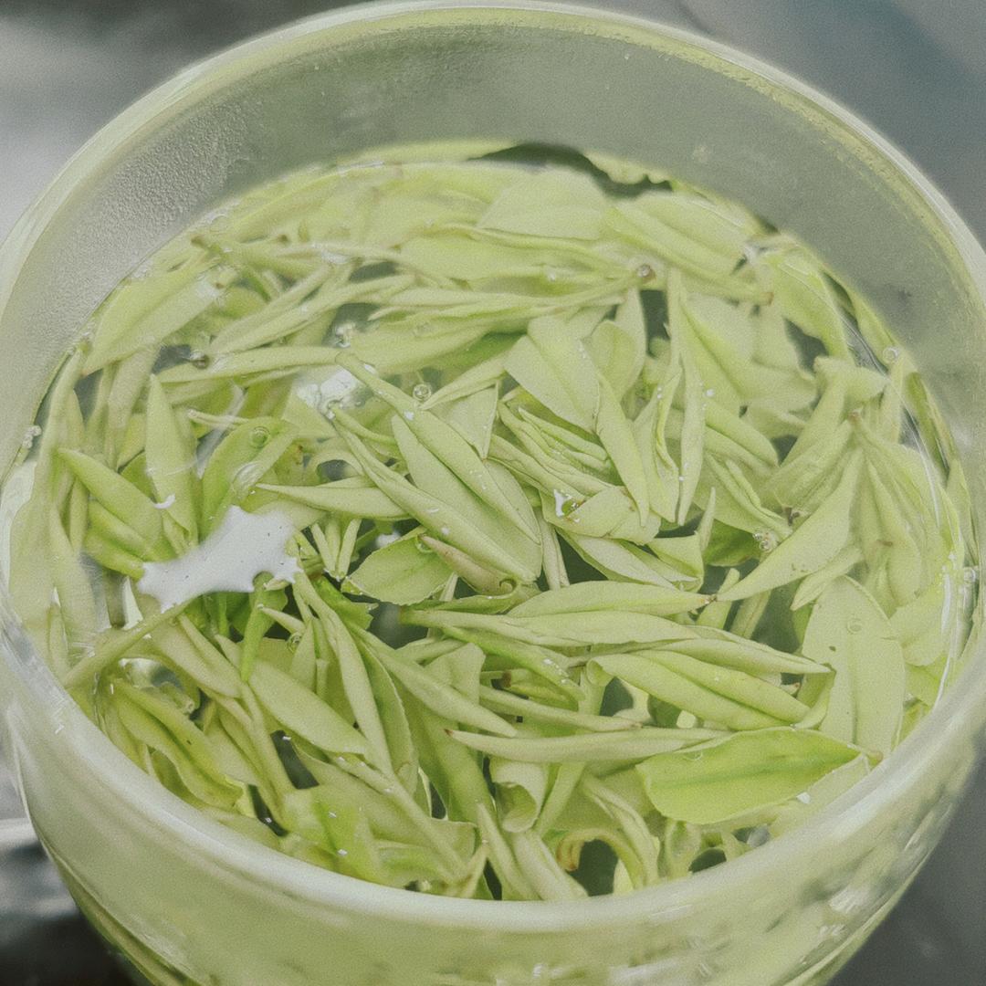 安吉简遇茶叶