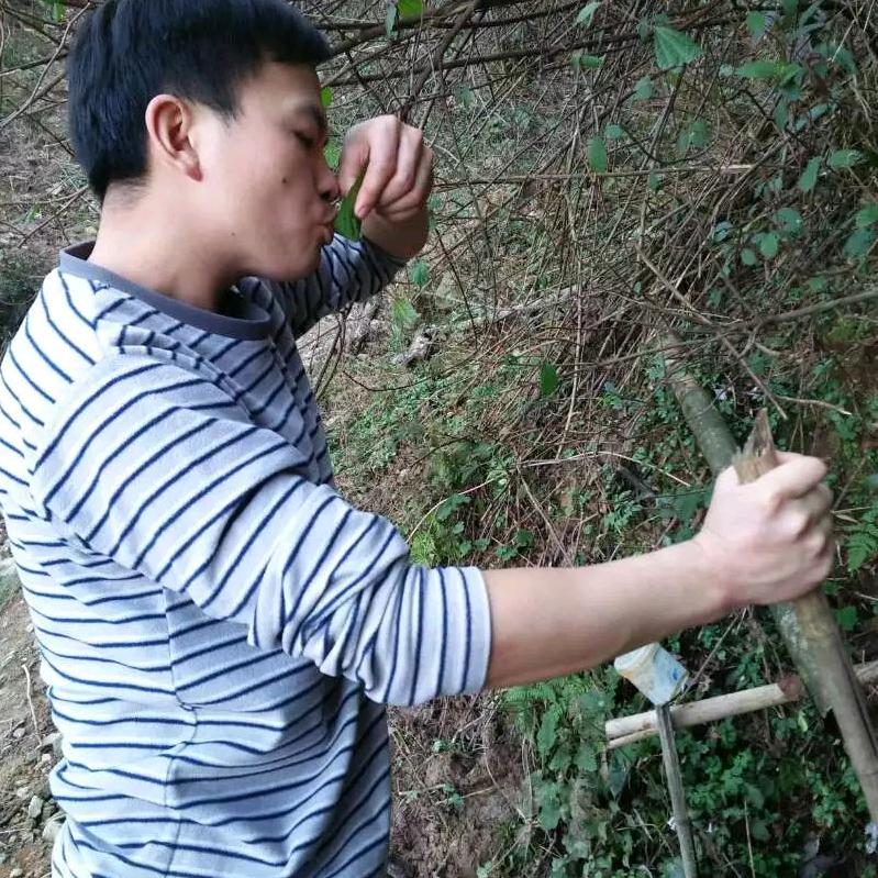 李哥