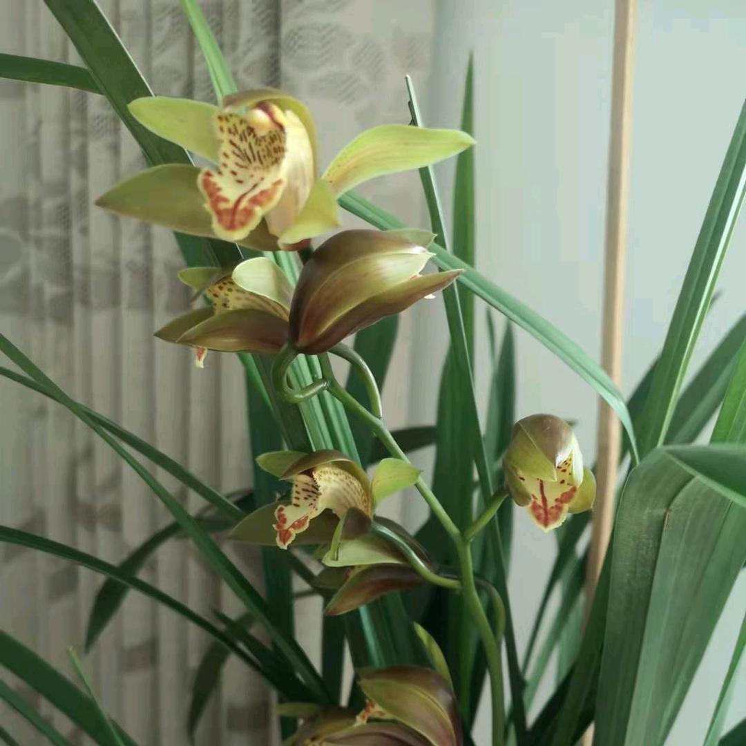 秋水000
