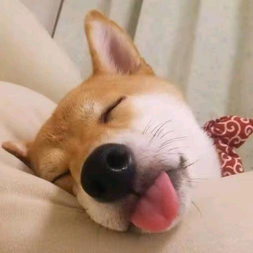 一段    牛奶安